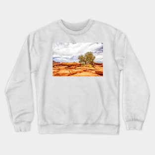 Juniper Tree, Capitol Reef National Park Crewneck Sweatshirt